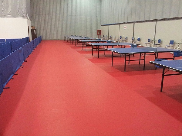 红布纹乒乓球运动地板 (5)