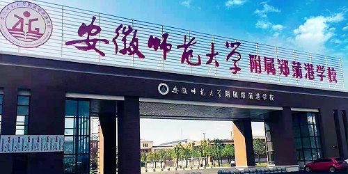 安徽师范大学附属郑蒲港学校 塑胶地板 运动场地案例